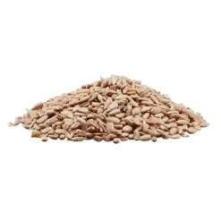Sunflower Hearts 8 Sunflower Hearts -FloraNest Store G2539 2