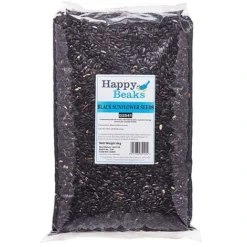 Black Sunflower Seeds -FloraNest Store G2541 1