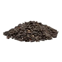 Black Sunflower Seeds -FloraNest Store G2541 2