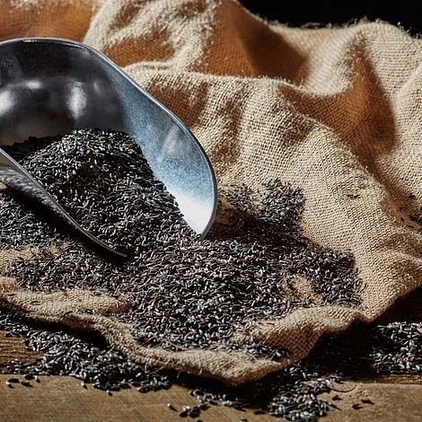 Niger Seed 2 Niger Seed - Image 2