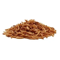 Meal Worms (Bag) -FloraNest Store G2545 2