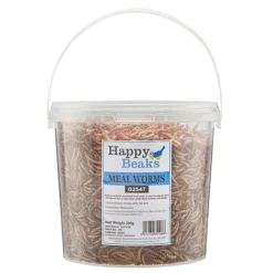 Meal Worms (Tub) -FloraNest Store G2547 1