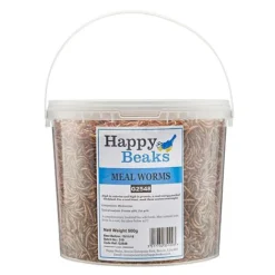 Meal Worms (Tub) -FloraNest Store G2548 1