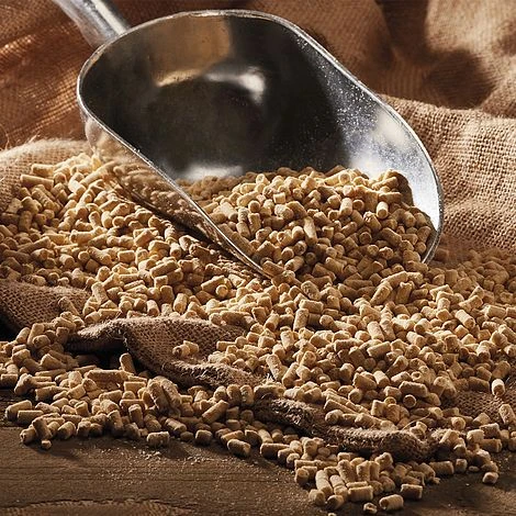 Insect Suet Pellets 2 Insect Suet Pellets - Image 2