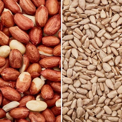 The Peanut & Sunflower Combo Bundle 1 The Peanut & Sunflower Combo Bundle