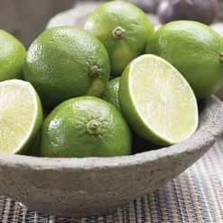 Citrus Tree Collection -FloraNest Store Lime